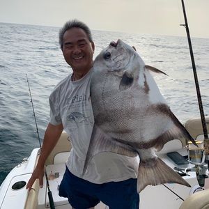 Meet your Posher, Manny